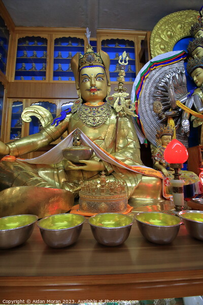  Statue of Avalokitesvara at the  Namgyal Monaster Picture Board by Aidan Moran