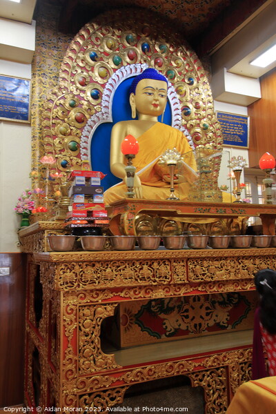Statue of the Buddha at the  Dalai Lama Temple Picture Board by Aidan Moran