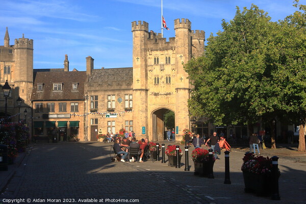 Bishops Palace Gate - Wells - Somerset Picture Board by Aidan Moran