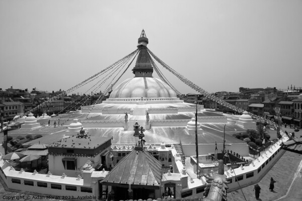 Boudhanath Stupa - Kathmandu - Nepal Picture Board by Aidan Moran