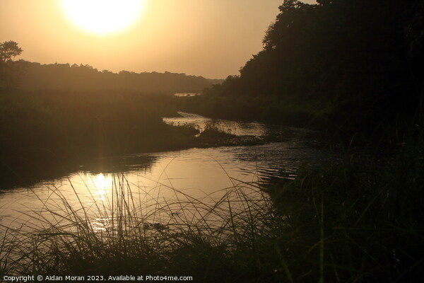 Sunset at Chitwan National Park Picture Board by Aidan Moran