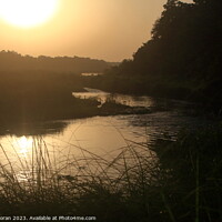 Buy canvas prints of Sunset at Chitwan National Park by Aidan Moran