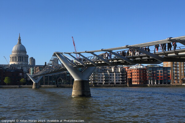 London's Iconic Millennium Bridge Picture Board by Aidan Moran