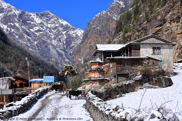 Himalayan Mountain Village Picture Board by Aidan Moran