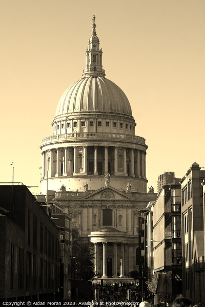 The Majesty of St Pauls Cathedral  Picture Board by Aidan Moran