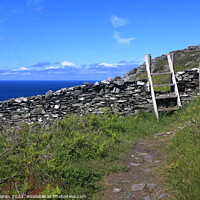 Buy canvas prints of Costal Pathway on the Isle of Man by Aidan Moran
