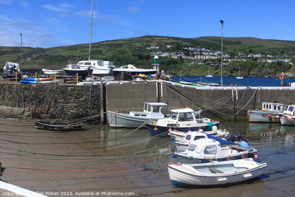 Port Erin Harbour on the Isle of Man  Picture Board by Aidan Moran