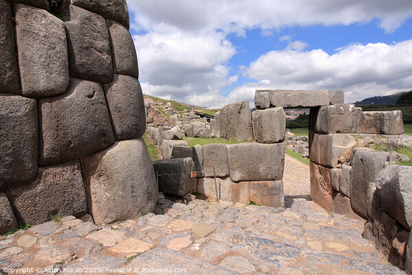 Sacsayhuaman Archaeological Site, Peru  Picture Board by Aidan Moran