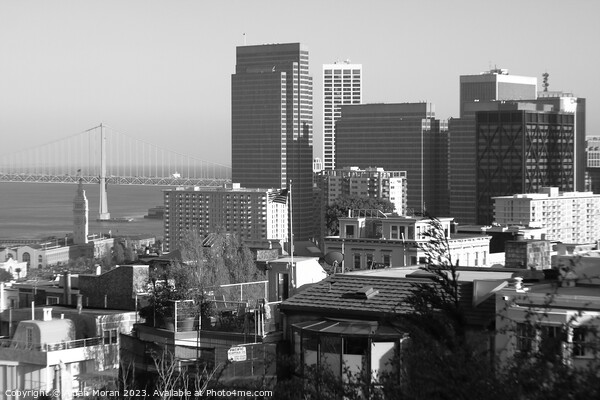 San Francisco View Picture Board by Aidan Moran
