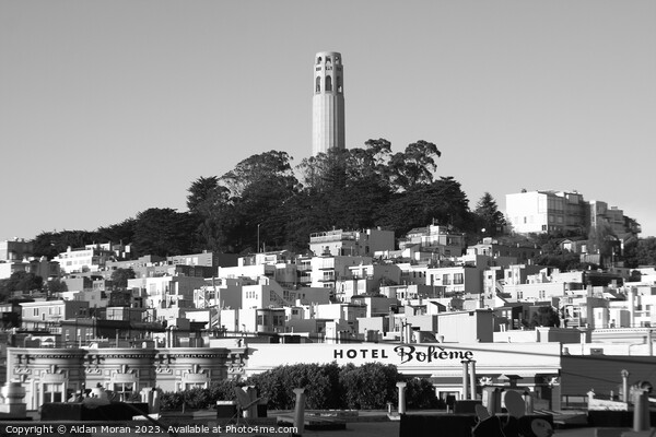 Colt Tower in San Francisco Cityscape  Picture Board by Aidan Moran
