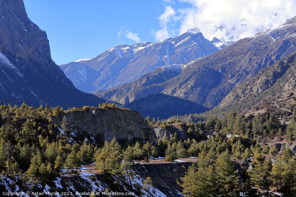 Himalayan Mountain Scene   Picture Board by Aidan Moran