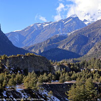 Buy canvas prints of Himalayan Mountain Scene   by Aidan Moran