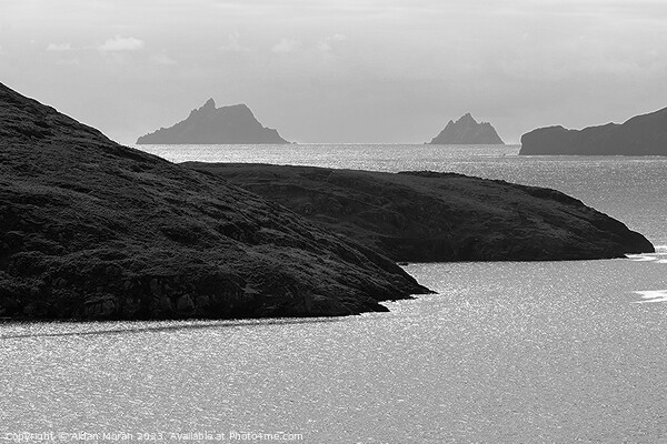 The Skellig's, County Kerry, Ireland  Picture Board by Aidan Moran