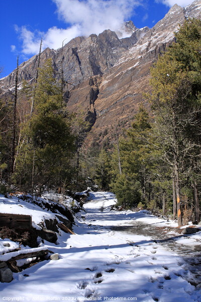 Annapurna Circuit Trail, Nepal Picture Board by Aidan Moran