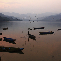 Buy canvas prints of Fishing Boats - Phewa Lake - Nepal by Aidan Moran