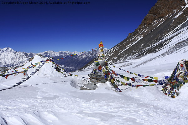 Prayer Flags - Thorung La Pass - Nepal Picture Board by Aidan Moran