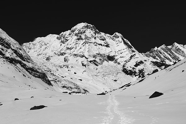 Annapurna South 7219m Picture Board by Aidan Moran