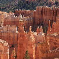 Buy canvas prints of  Bryce Canyon Red Rock by Aidan Moran