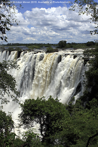  Victoria Falls On The Zambezi River Picture Board by Aidan Moran