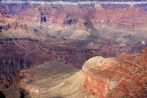  Natural Wonders Of The World Grand Canyon Arizona Picture Board by Aidan Moran