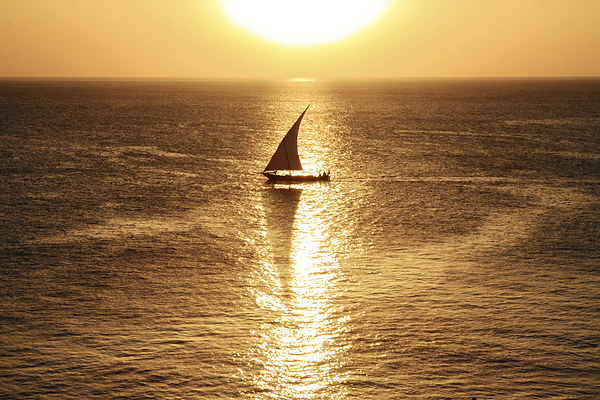  African Dhow At Sunset  Picture Board by Aidan Moran