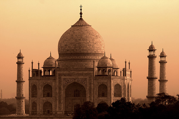  Taj Mahal   Picture Board by Aidan Moran