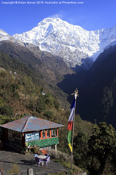  Annapurna South, The Himalayas, Nepal Picture Board by Aidan Moran