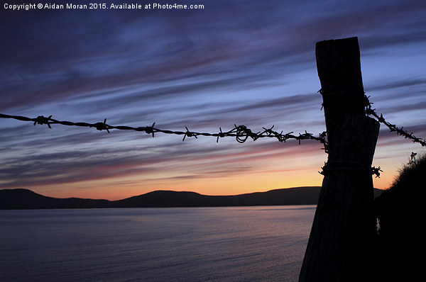  Barbed Wire Sunset  Picture Board by Aidan Moran