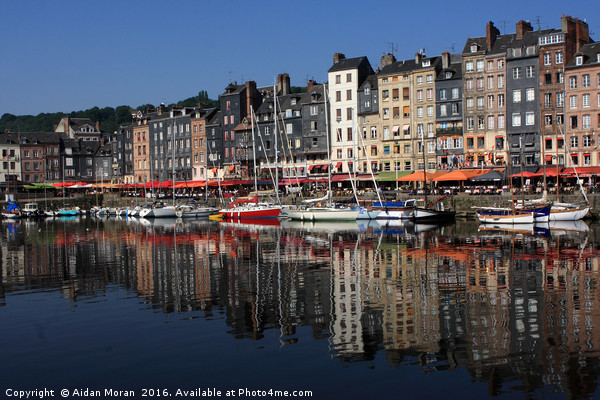Honfleur Harbour, Normandy, France Picture Board by Aidan Moran
