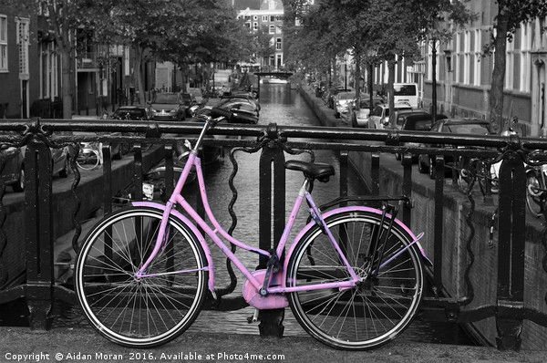 Pink Bicycle By The Canal  Picture Board by Aidan Moran