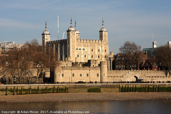 Tower Of London  Picture Board by Aidan Moran