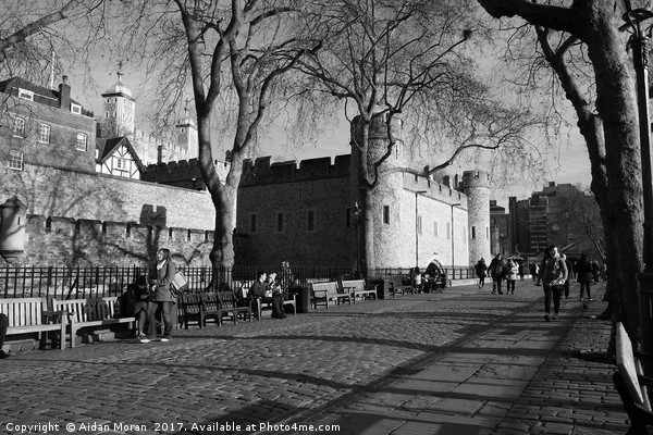 Tower Of London, England  Picture Board by Aidan Moran