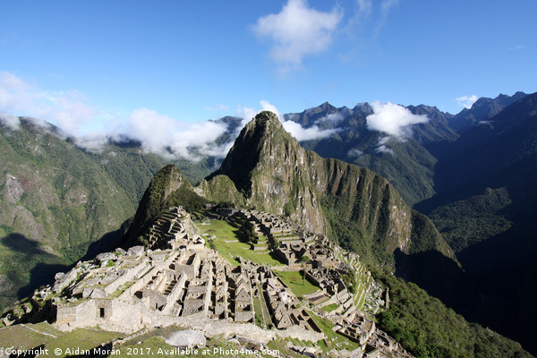 Machu Picchu, Peru  Picture Board by Aidan Moran