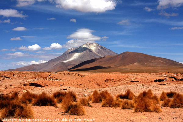 Andean Mountain Landscape  Picture Board by Aidan Moran