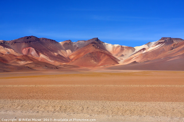 Bolivian Altiplano   Picture Board by Aidan Moran