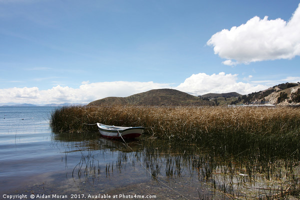 Lake Titicaca, Bolivia  Picture Board by Aidan Moran