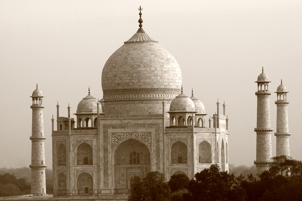 Taj Mahal, Agra, India  Picture Board by Aidan Moran