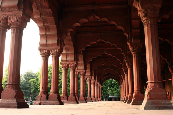 Engrailed Arches, Red Fort, New Delhi Picture Board by Aidan Moran