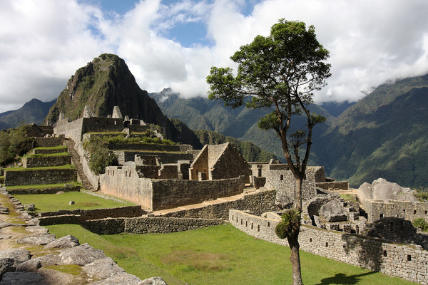 Central Plaza At Machu Picchu   Picture Board by Aidan Moran