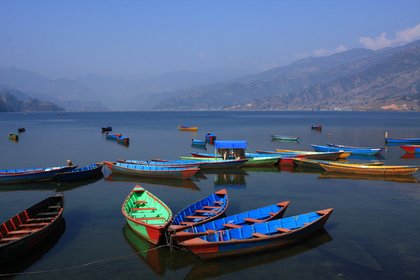 Boats On Phewa Lake, Pokhara, Nepal  Picture Board by Aidan Moran