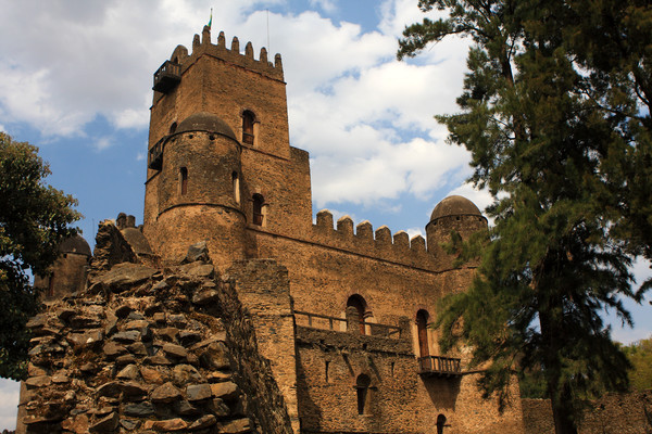 Fasilides Castle, Gondor, Ethiopia   Picture Board by Aidan Moran