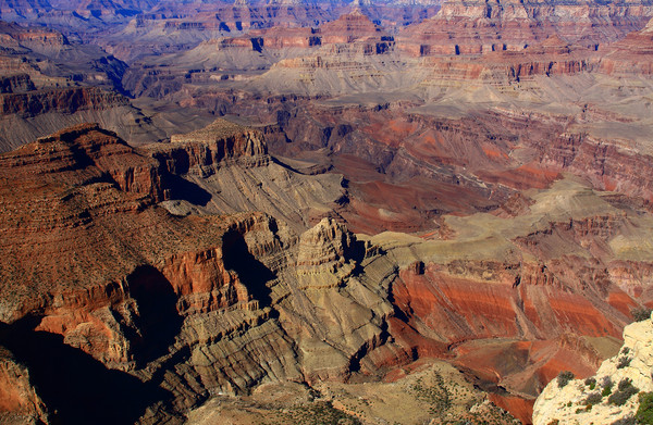 The Grand Canyon, State Of Arizona  Picture Board by Aidan Moran