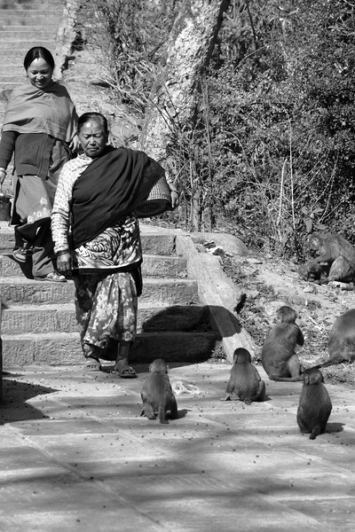 Swayambhunath Temple Pilgrims  Picture Board by Aidan Moran