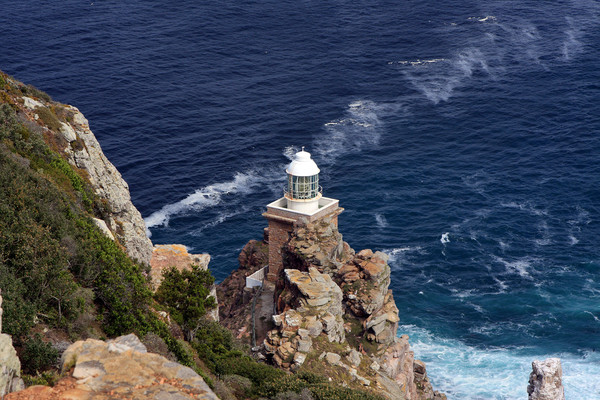 Cape Of Good Hope Lighthouse  Picture Board by Aidan Moran