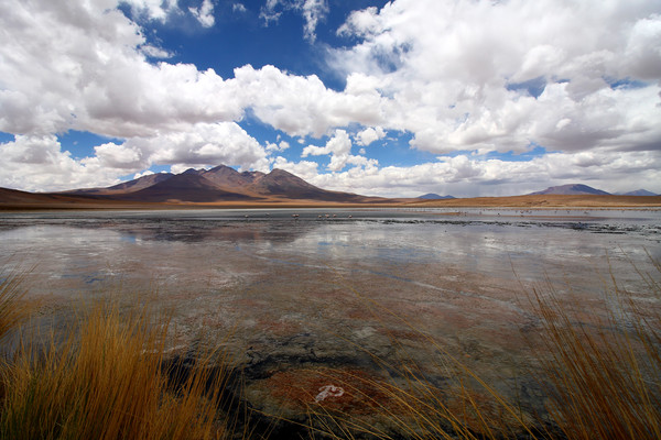 Uyuni Salt Lake, Bolivia  Picture Board by Aidan Moran