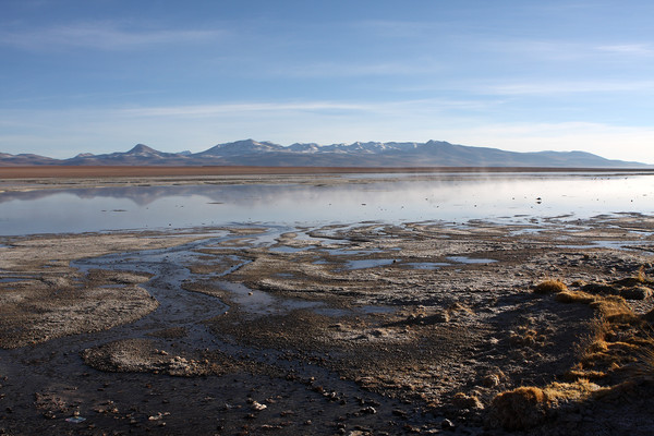 Uyuni Salt Lake, Bolivia, South America  Picture Board by Aidan Moran