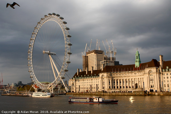 The London Eye On The South Bank  Picture Board by Aidan Moran