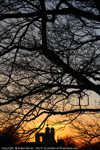 Sunset At Greenwich Park    Picture Board by Aidan Moran