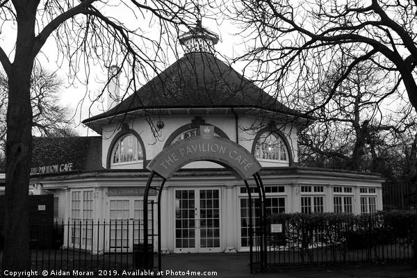 Pavilion Cafe in Greenwich Park, London   Picture Board by Aidan Moran