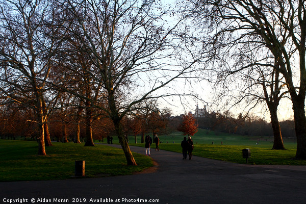 Greenwich Park, London, England  Picture Board by Aidan Moran
